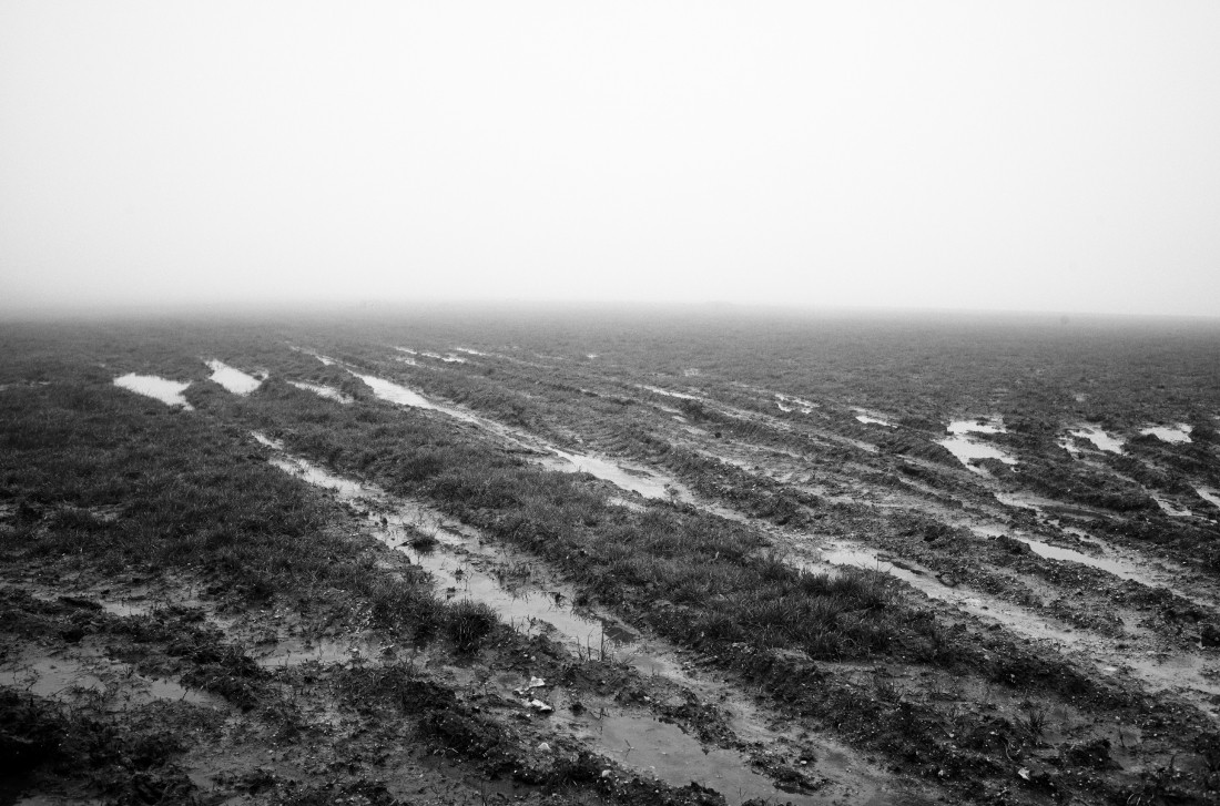 Steven Seidenberg 02